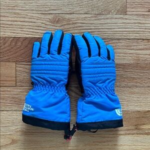 The North Face Vibrant Blue Gloves